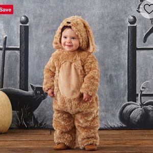 0-6 Month pottery Barn kids dog costume